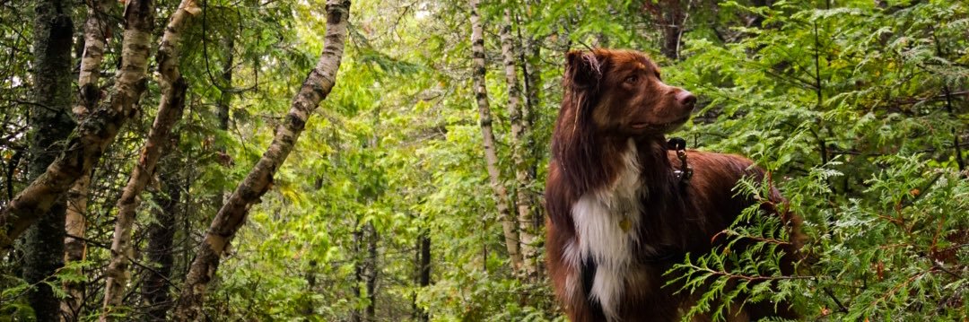 deanzo_'s profile banner image