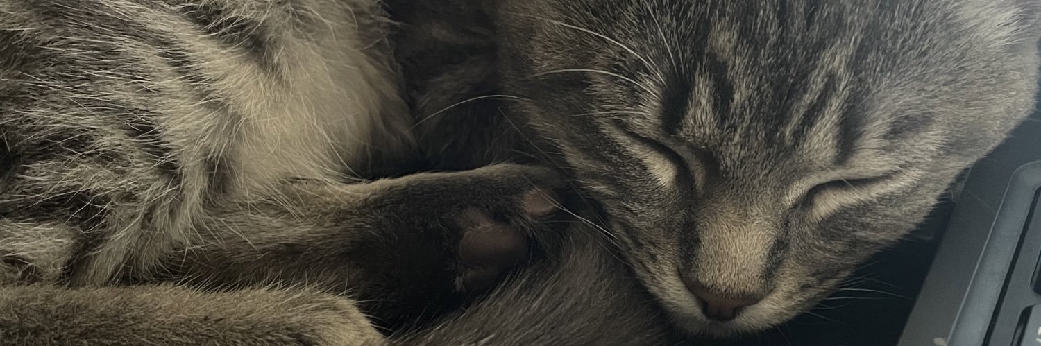 kali_hooper's profile banner image