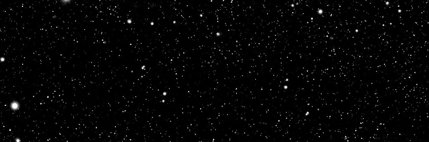 notcami06's profile banner image