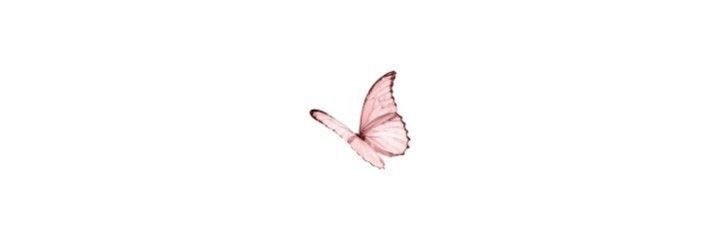 reem__ll9's profile banner image