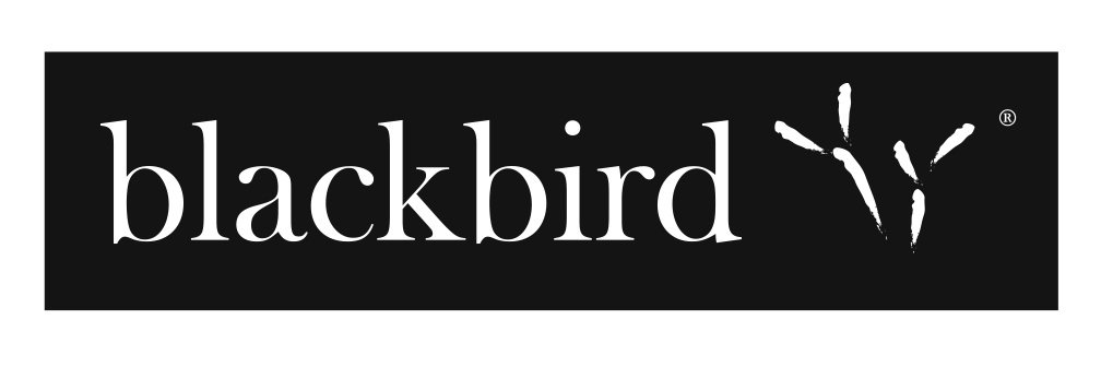 blackbirdaudio's profile banner image