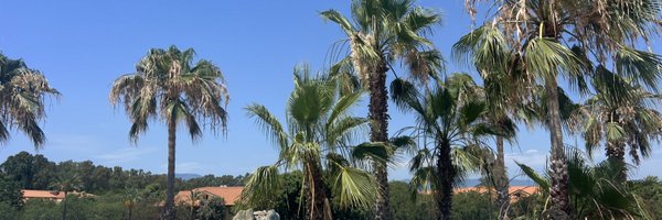 rmegal Profile Banner
