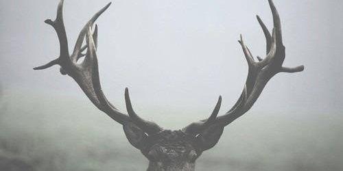fotsis12's profile banner image