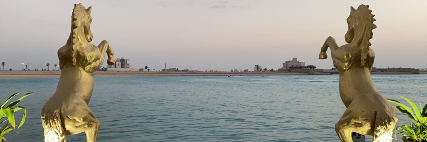 Alfelemban11's profile banner image