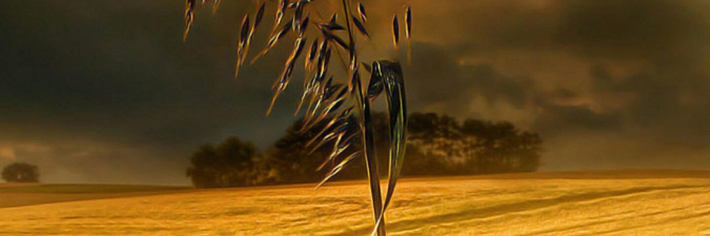 Tina_Chandalala's profile banner image