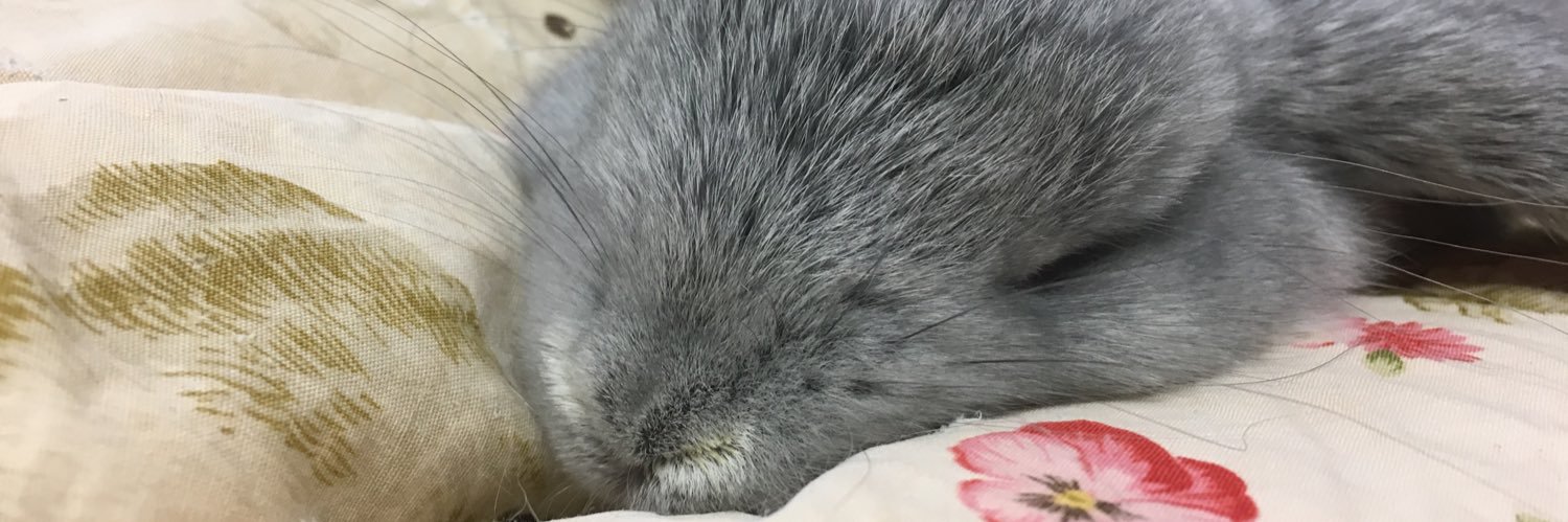 heyhowdy_'s profile banner image