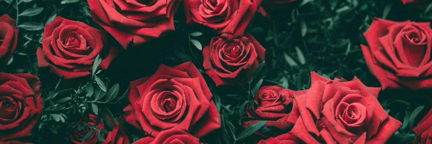 sibel9993's profile banner image
