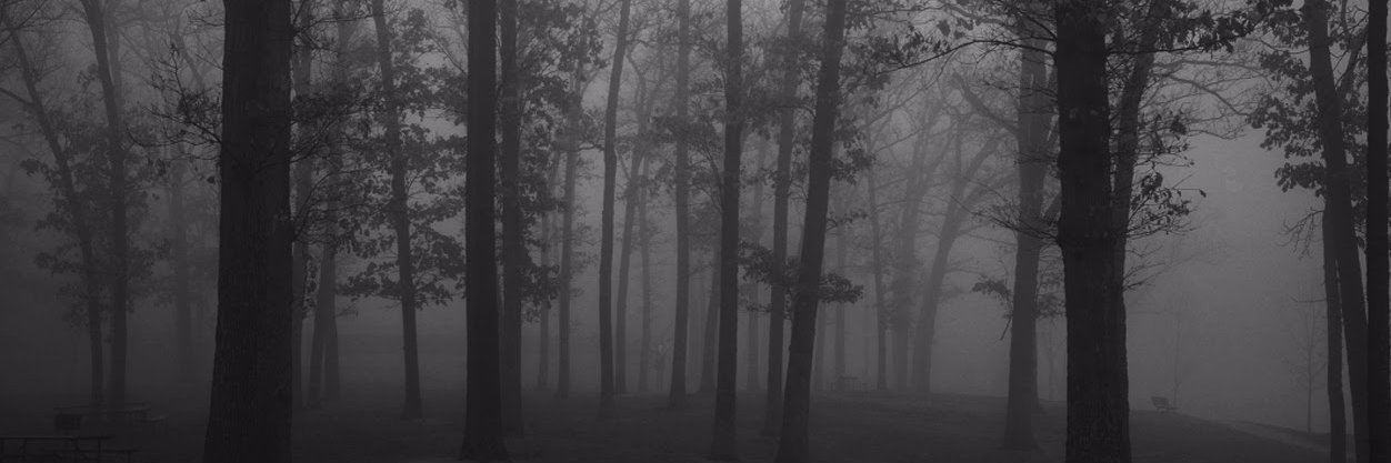 ivanriosg1's profile banner image