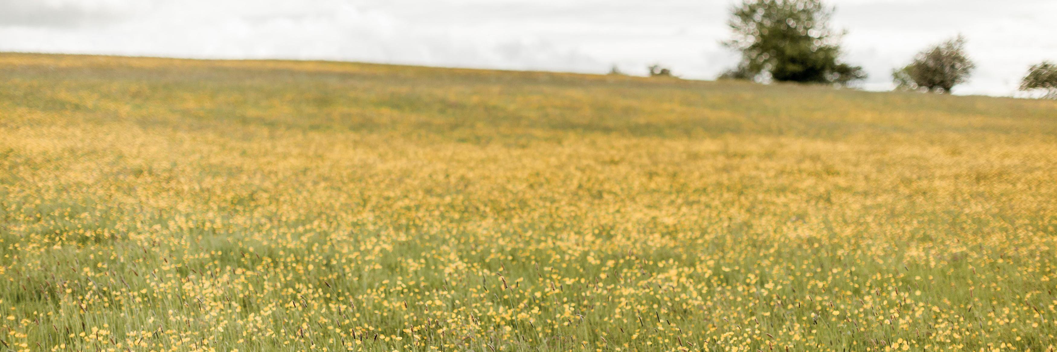 edenweddingbarn's profile banner image
