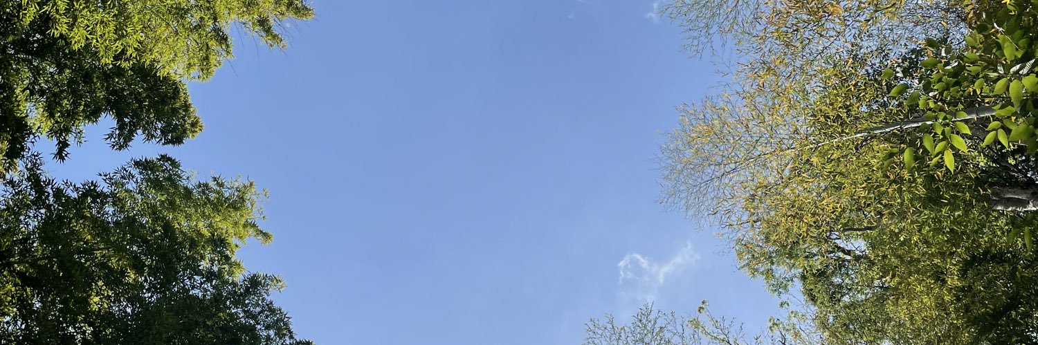sky__toa's profile banner image