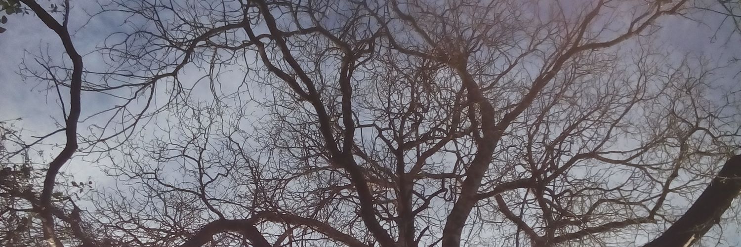 annaherrerosemi's profile banner image