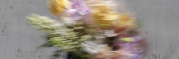 nmc512's profile banner image