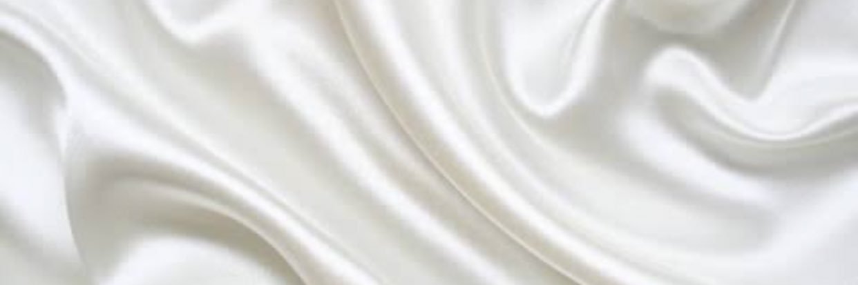 TapiaLarissa's profile banner image