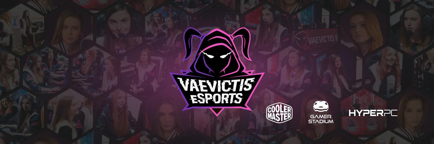 VaevictisTeam's profile banner image