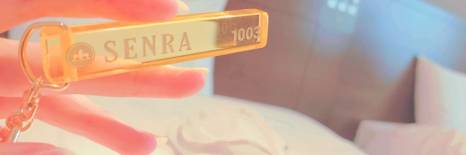 1412mimimi's profile banner image