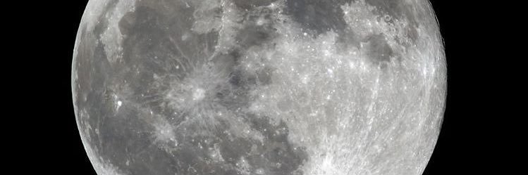 zanadream's profile banner image