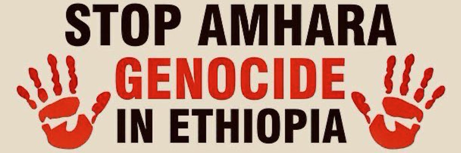 amribekele's profile banner image