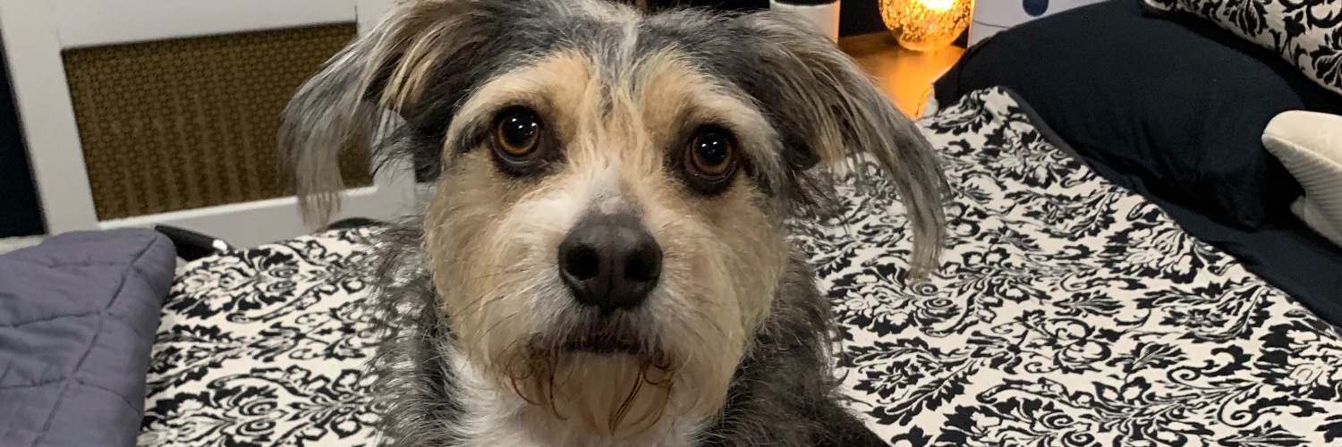 melbatoastrox's profile banner image