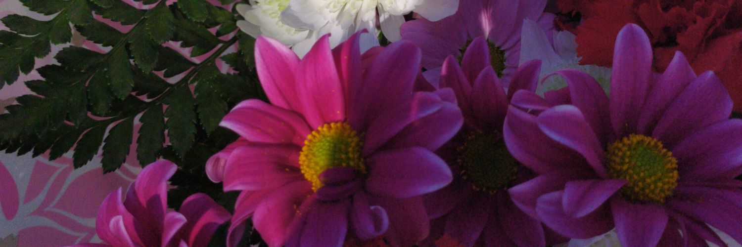 noelia_797's profile banner image