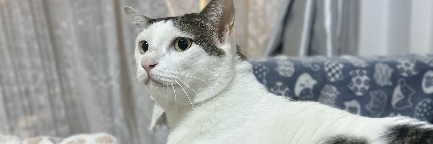Pployroong's profile banner image