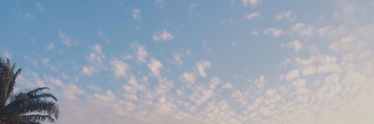 ji_ginger's profile banner image