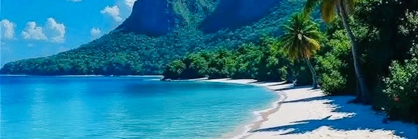 Virender Singh banner