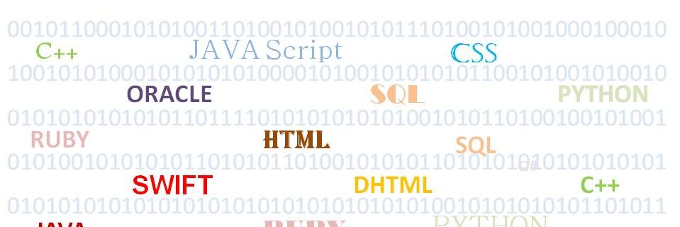 CProgrammingSimPly banner