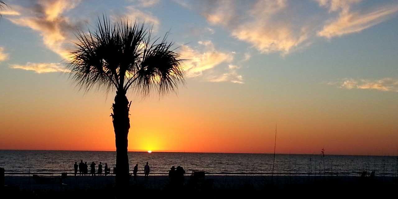 lujohnson12's profile banner image