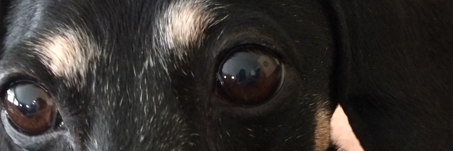 konaolelo's profile banner image