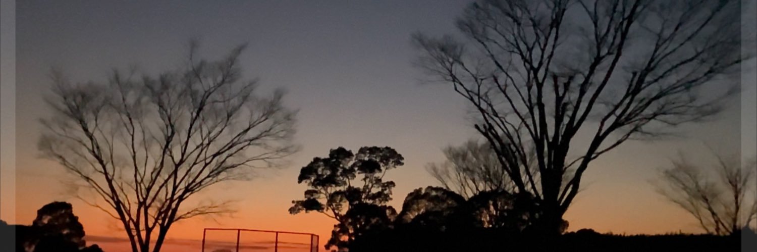saltsize's profile banner image