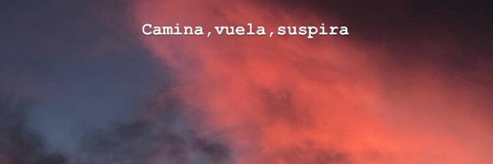 FlorPenayo's profile banner image