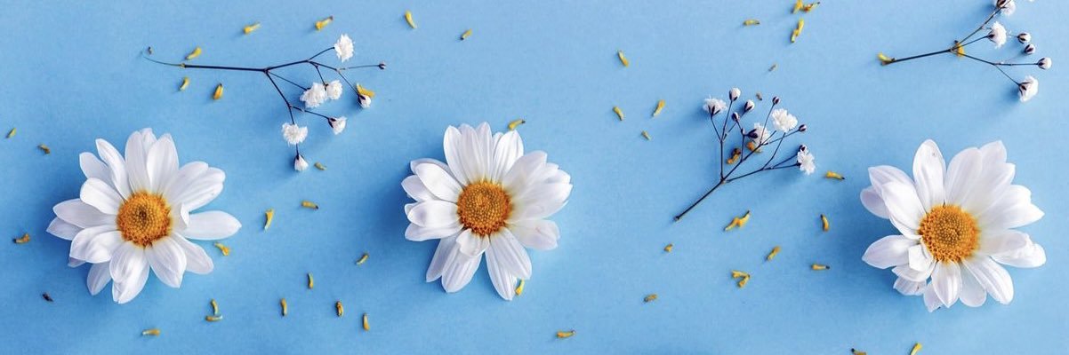 esdanielam's profile banner image