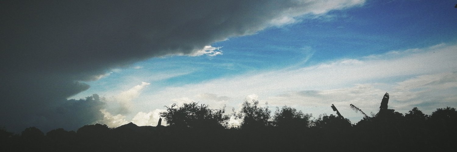 elsdln2's profile banner image
