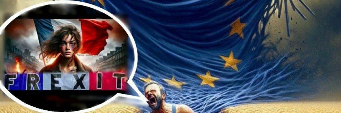 magil_1's profile banner image