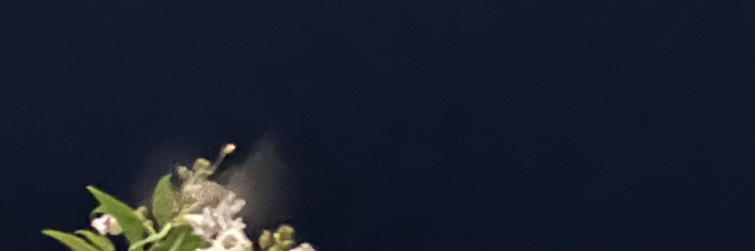 dicks4groups's profile banner image