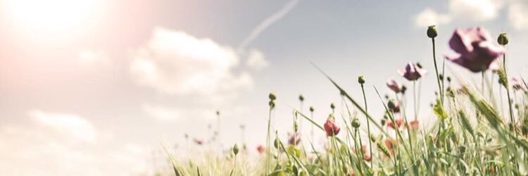 oldmanashlea's profile banner image