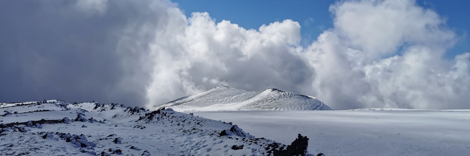 Elizabeth 🇺🇦🇺🇦💛💙🇮🇪🏳️‍🌈🇪🇺 banner