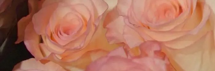 Little_Sun_456's profile banner image