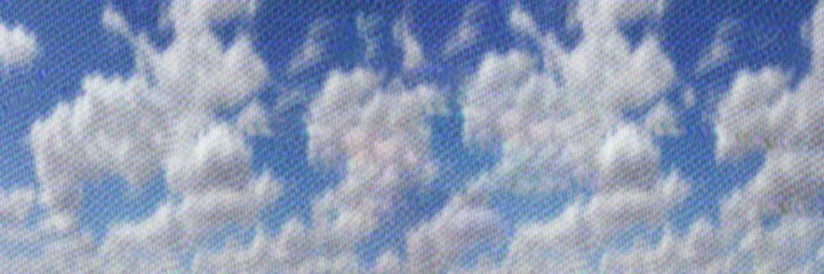 toni's banner