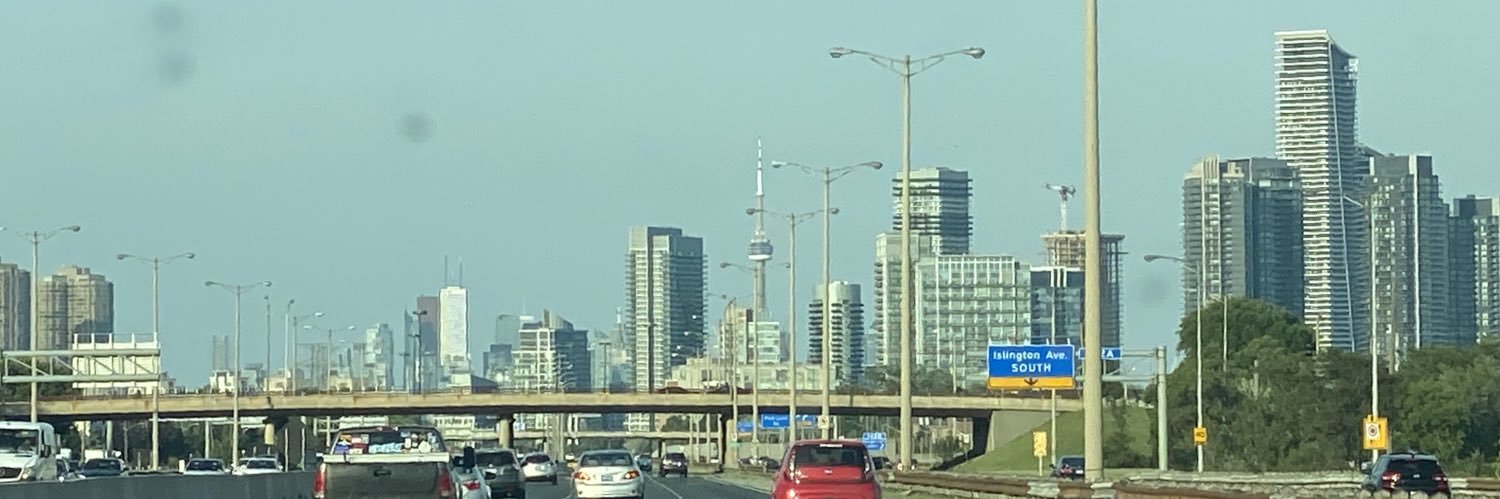 Professor Olga Chyzh banner