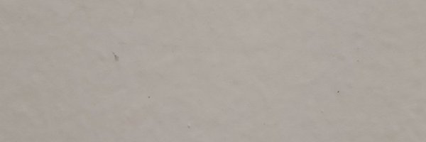 CFColtsFB Profile Banner