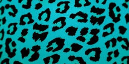 ecaawilly's profile banner image
