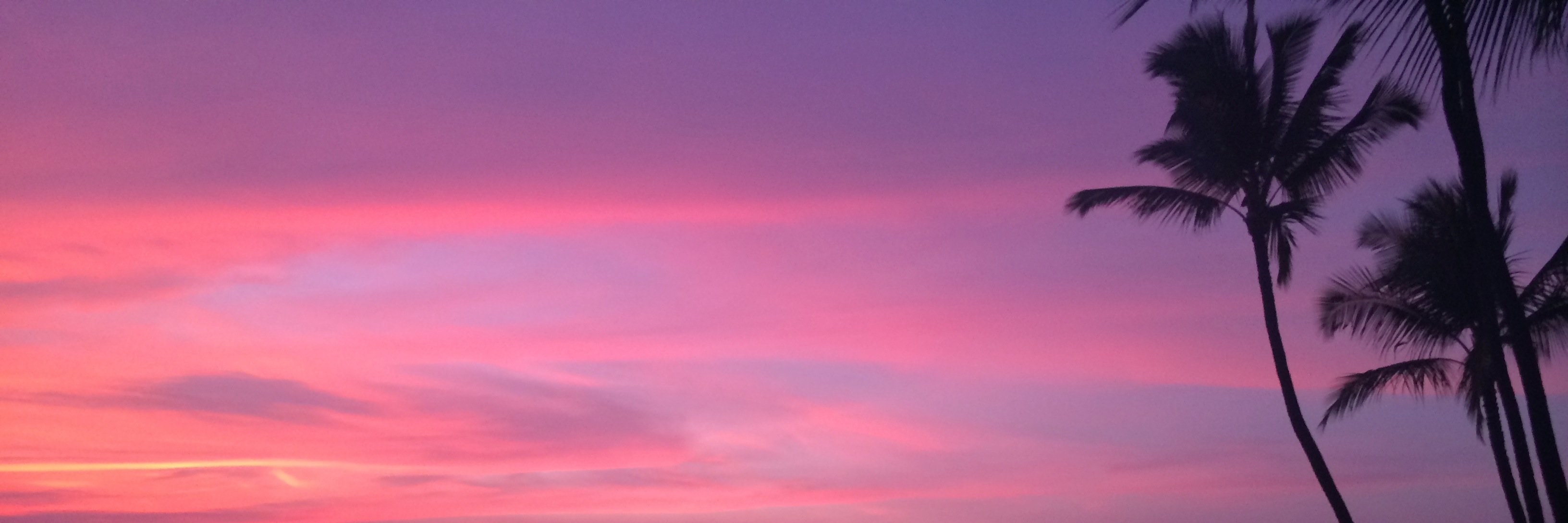 Miranda Abney banner