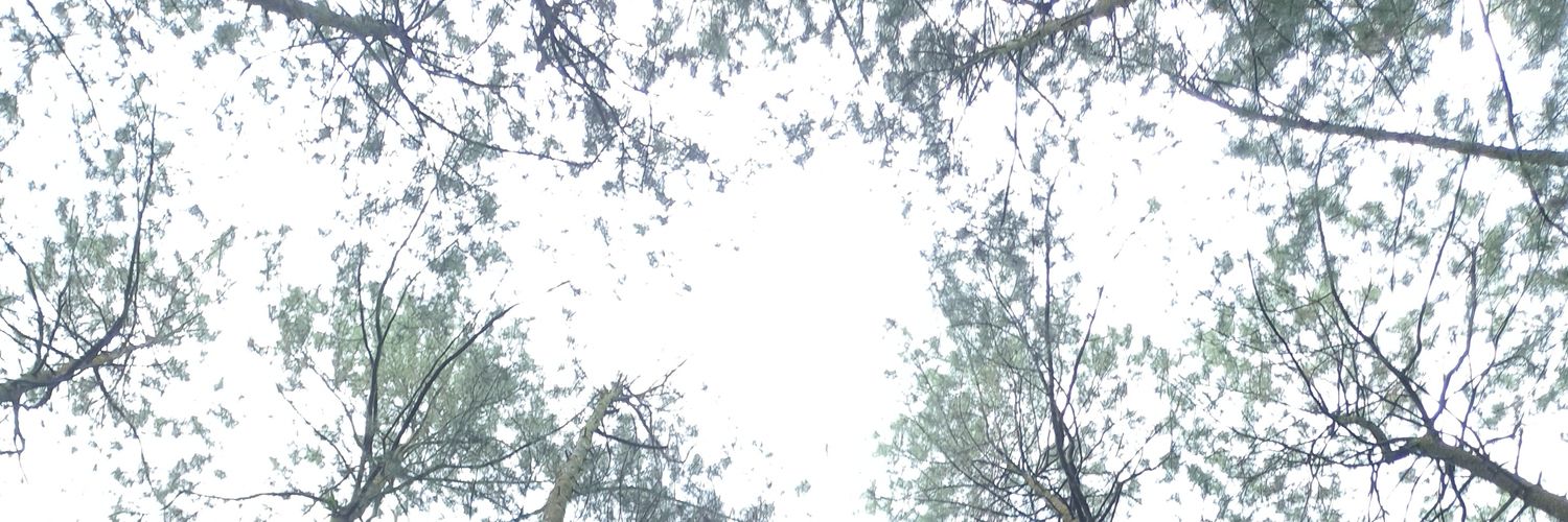 umbiesss's profile banner image