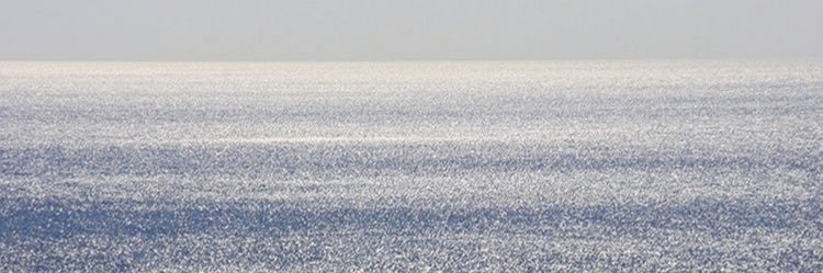 mayadjn's profile banner image