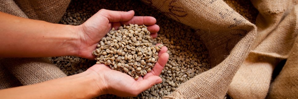 PuebloCoffee's profile banner image