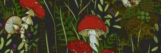 kotnomnom's profile banner image