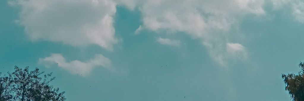 Nandafitrialrr's profile banner image