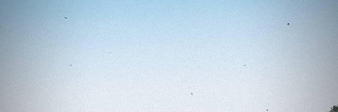 ecrryli's profile banner image