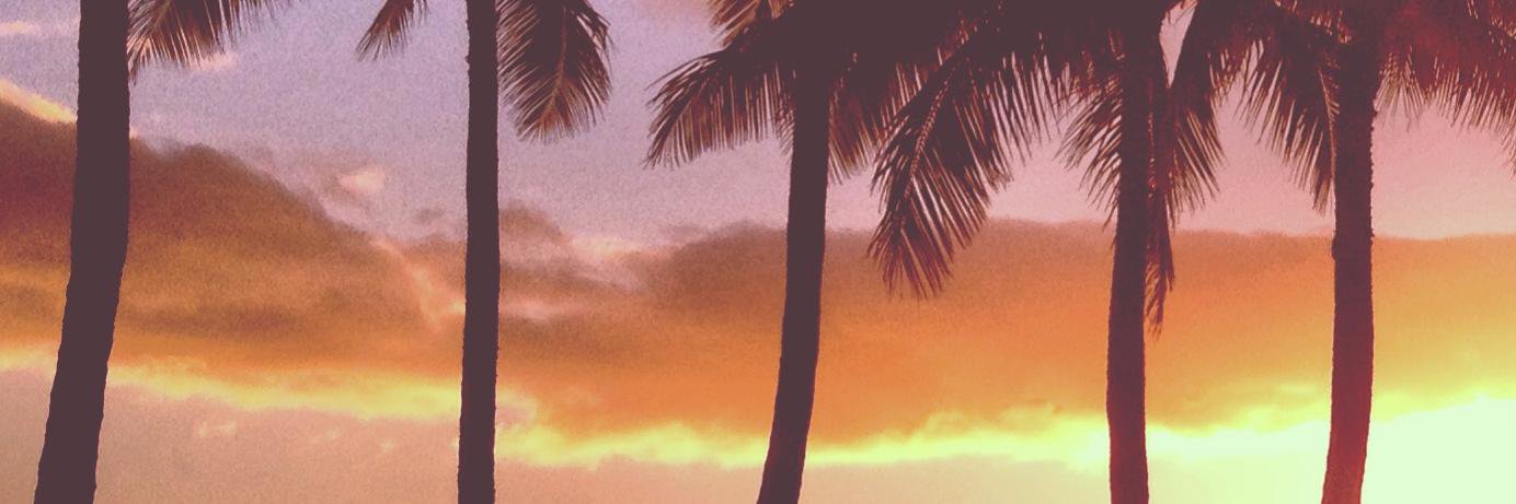dailybrine's profile banner image